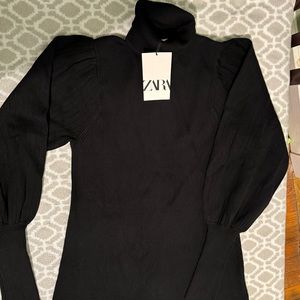 ZARA Turtle Neck Dress